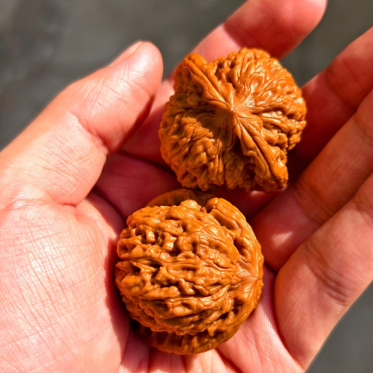 The Real Art of Wenwan Walnut Collecting: Making Peace with Imperfection and Growing with Time