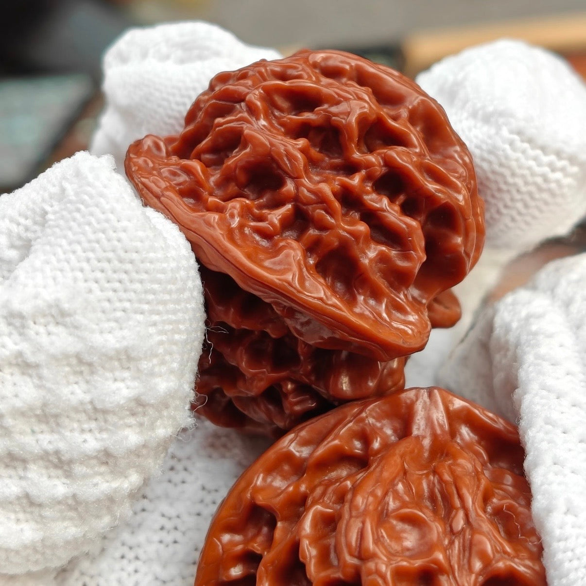 Common Wenwan Walnut Terms: A Beginner Glossary