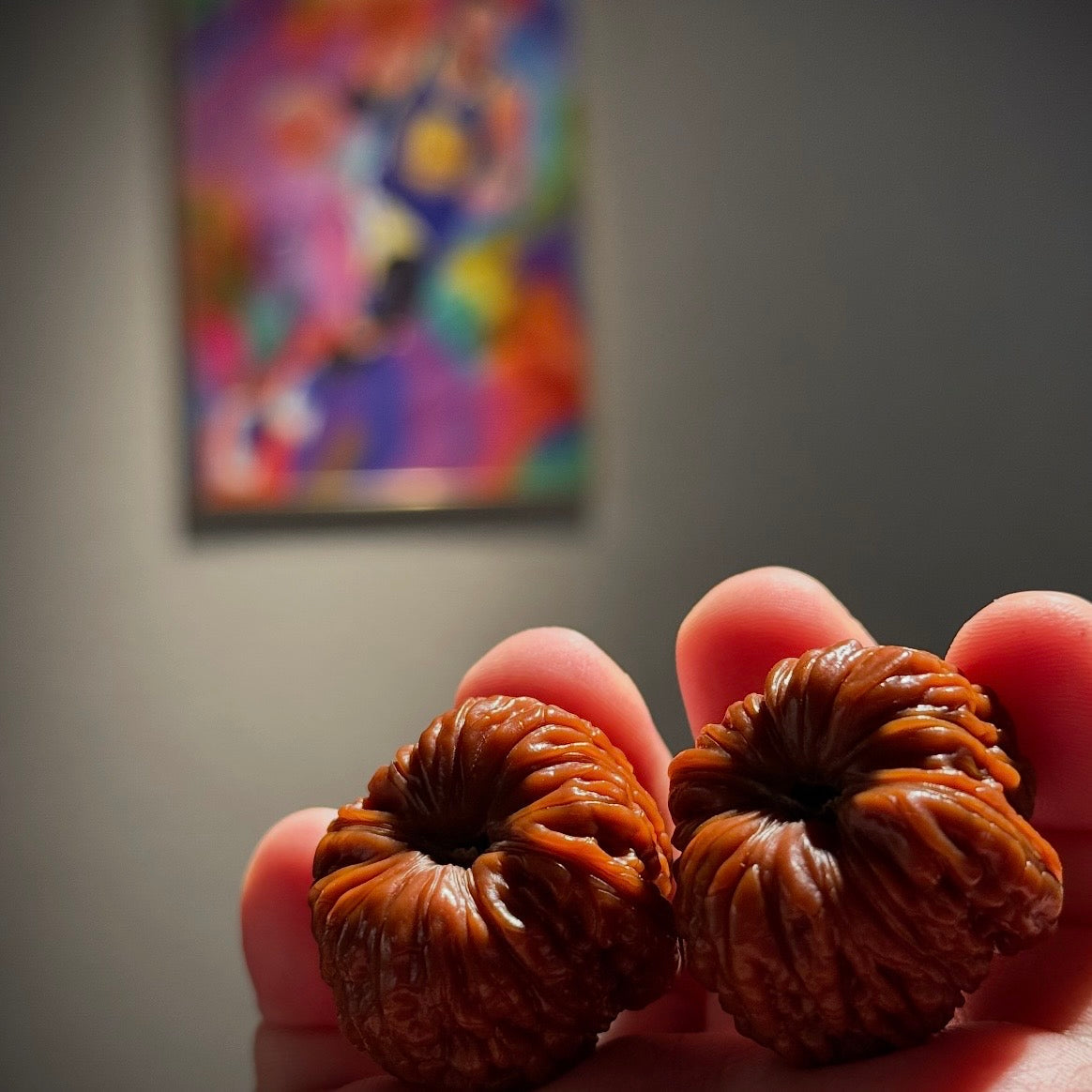 Wenwan Walnut Shape Guide: How to Read Form, Proportion, and Silhouette