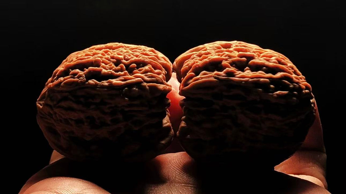 What Are Wenwan Walnuts? A Beginner’s Guide to Matched Wenwan Walnut Pairs