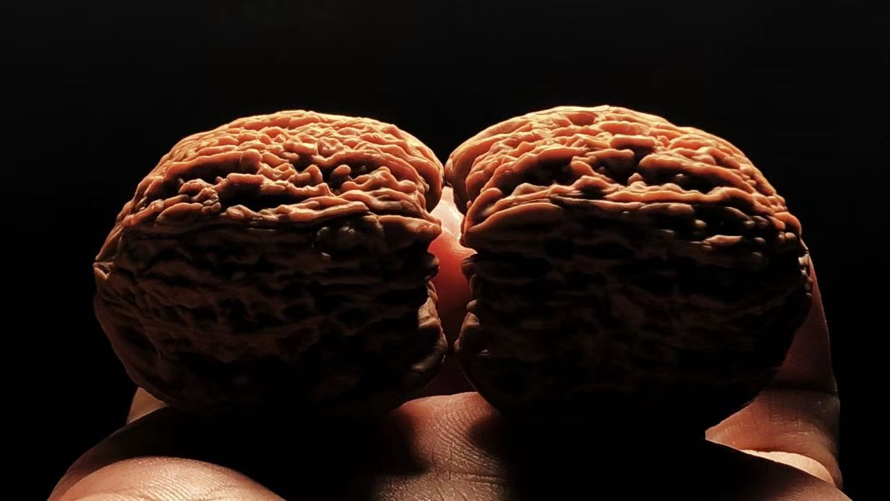 What Are Wenwan Walnuts? A Beginner’s Guide to Matched Wenwan Walnut Pairs
