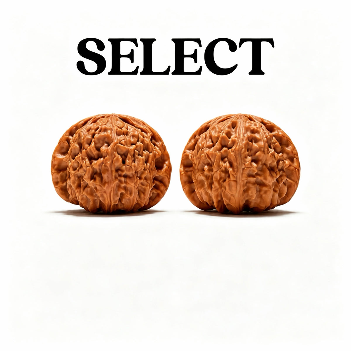 WalnutRitual | Shop Graded Wenwan Walnut Pairs