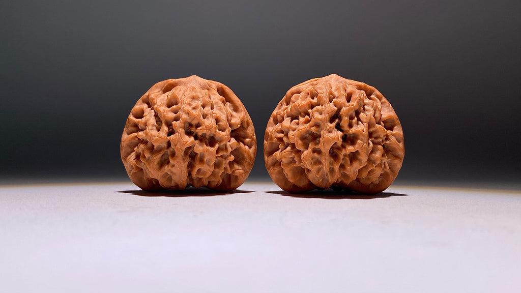 2026 · Qin Men Wenwan Walnut · 42mm · Natural · Heirloom