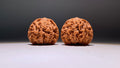 2026 · Qin Men Wenwan Walnut · 42mm · Natural · Heirloom