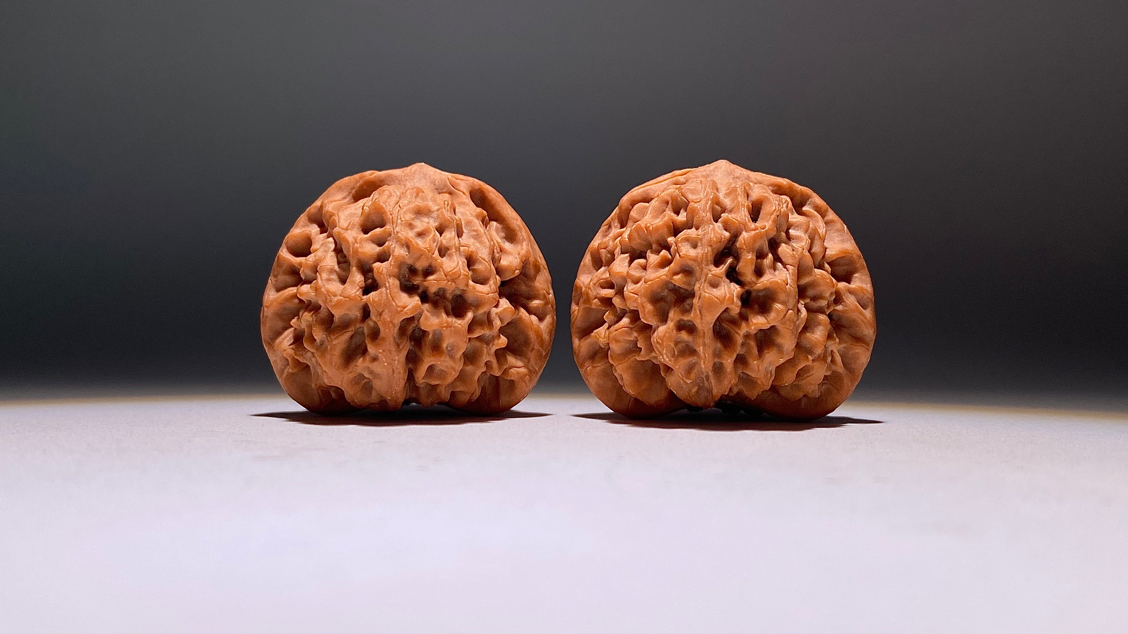 2026 · Qin Men Wenwan Walnut · 42mm · Natural · Heirloom