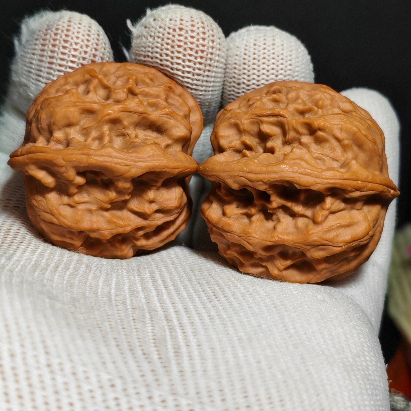 Wild Wolf Wenwan Walnut · 41mm · Sourcing Pick
