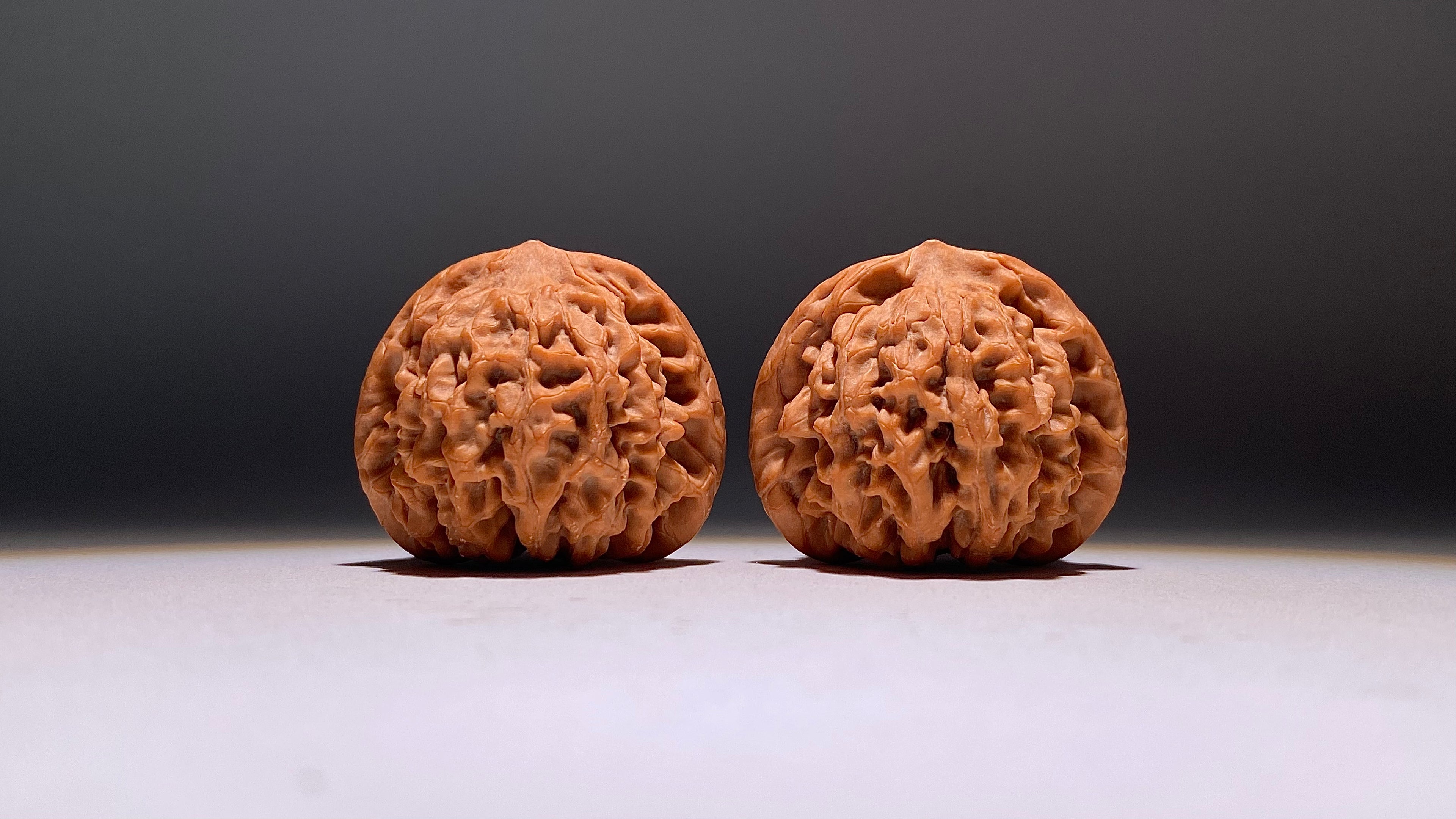 2026 · Qin Men Wenwan Walnut · 42mm · Natural · Heirloom