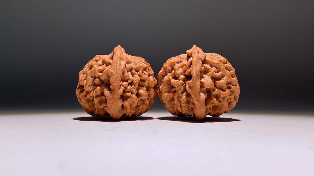 2026 · Qin Men Wenwan Walnut · 42mm · Natural · Heirloom