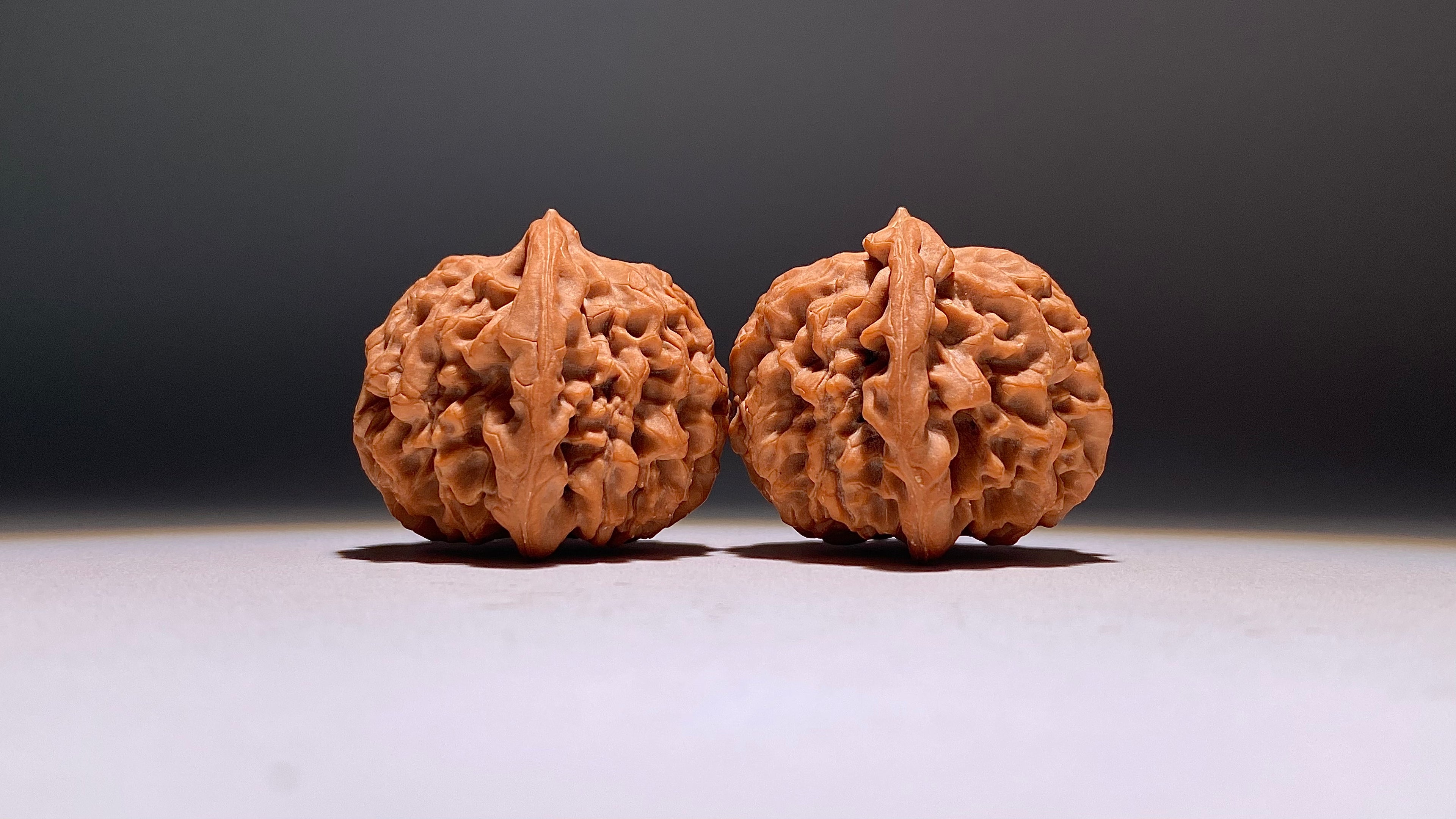 2026 · Qin Men Wenwan Walnut · 42mm · Natural · Heirloom