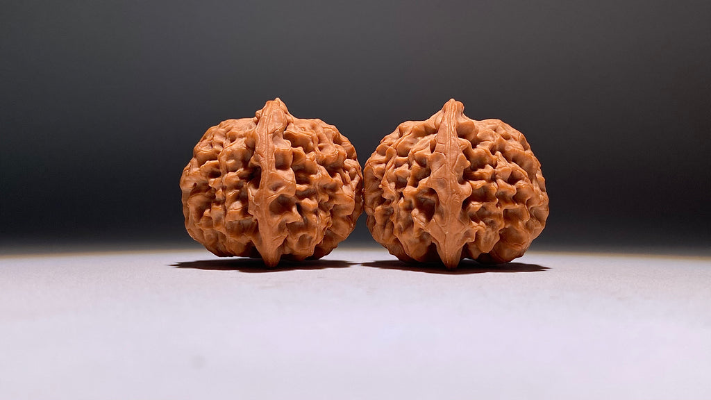 2026 · Qin Men Wenwan Walnut · 42mm · Natural · Heirloom