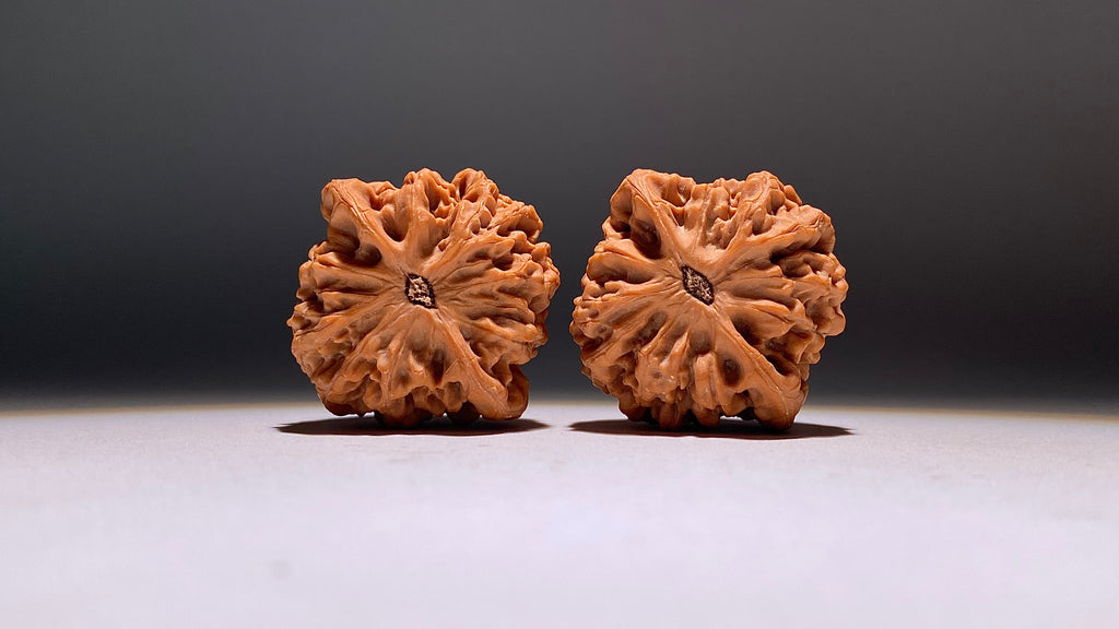 2026 · Qin Men Wenwan Walnut · 42mm · Natural · Heirloom
