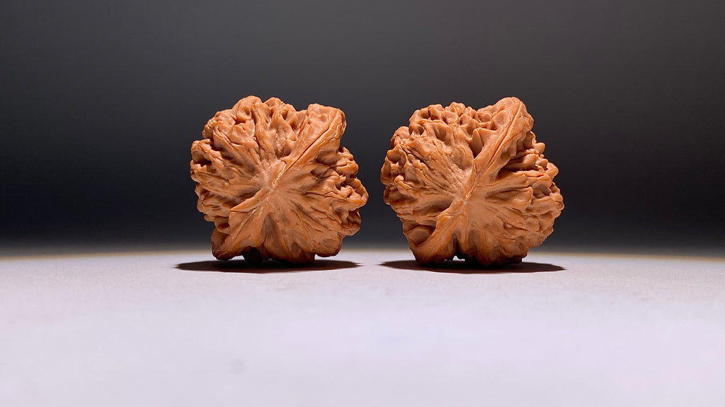2026 · Qin Men Wenwan Walnut · 42mm · Natural · Heirloom