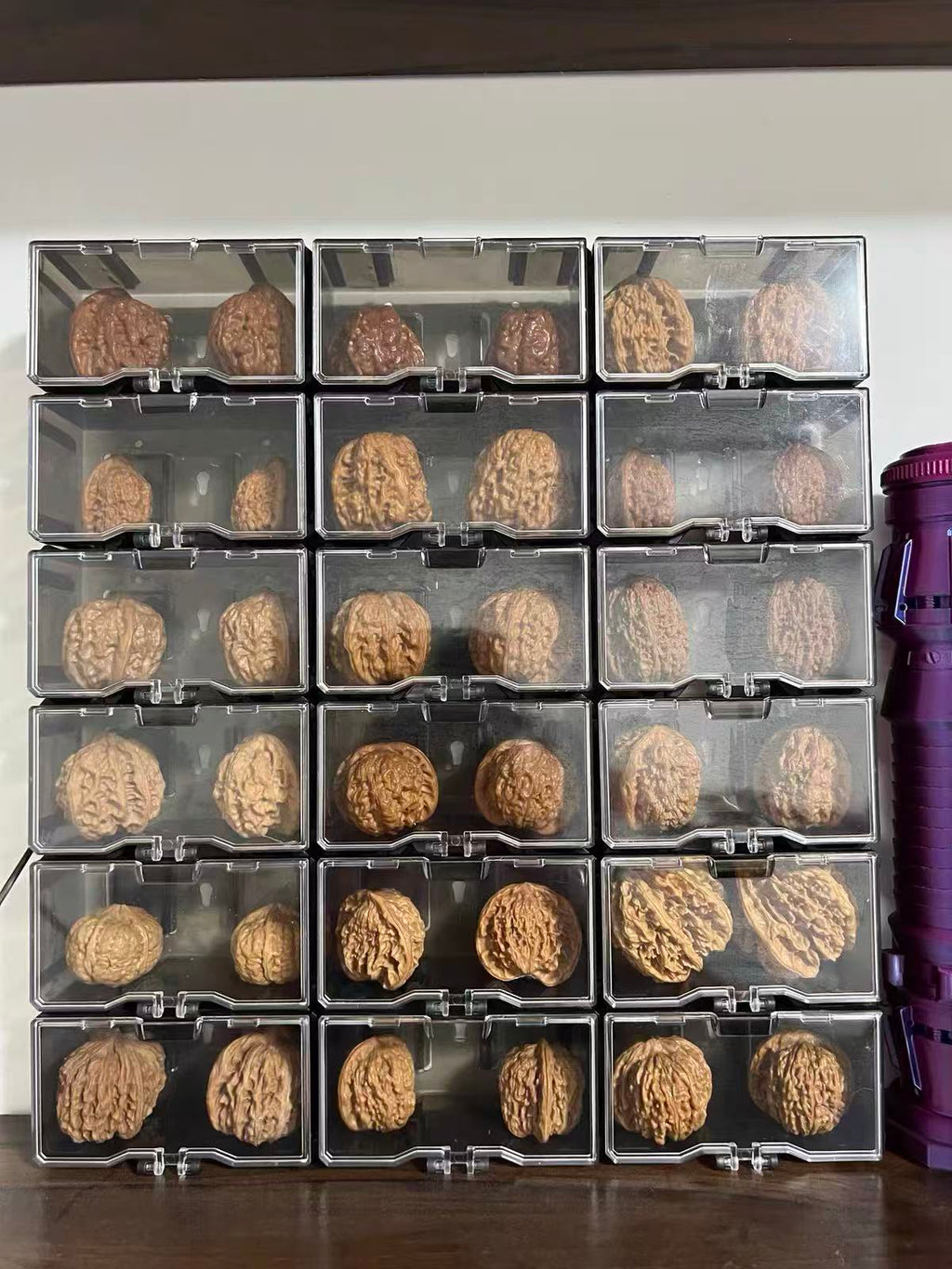Clear Acrylic Moisture-Resistant Storage Box (For Wenwan Walnuts)