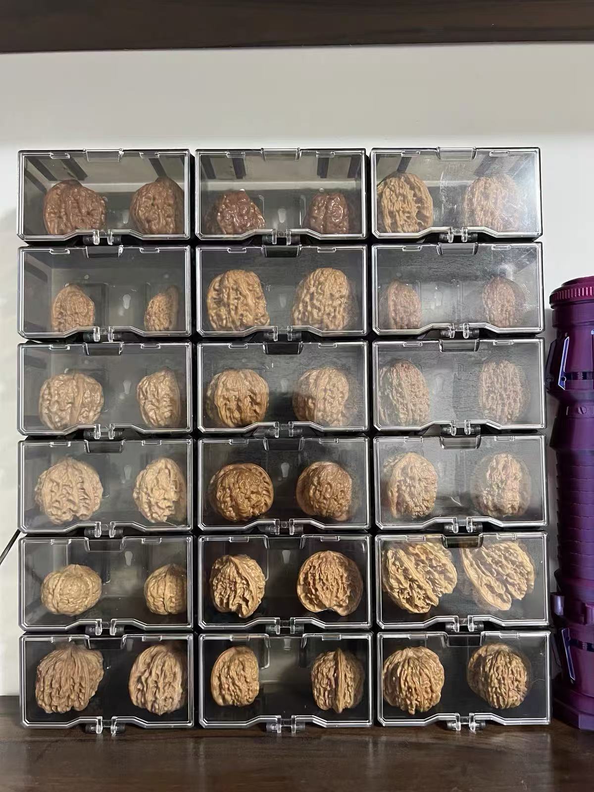 Clear Acrylic Moisture-Resistant Storage Box (For Wenwan Walnuts)