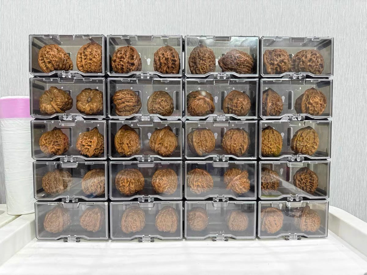 Clear Acrylic Moisture-Resistant Storage Box (For Wenwan Walnuts)