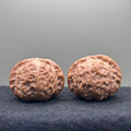 Pumpkin Lion Head Wenwan Walnut