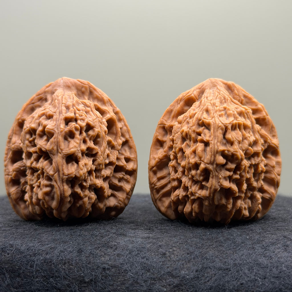 Nanjiang Stone Lion Head Wenwan Walnut