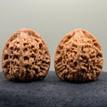 Nanjiang Stone Lion Head Wenwan Walnut