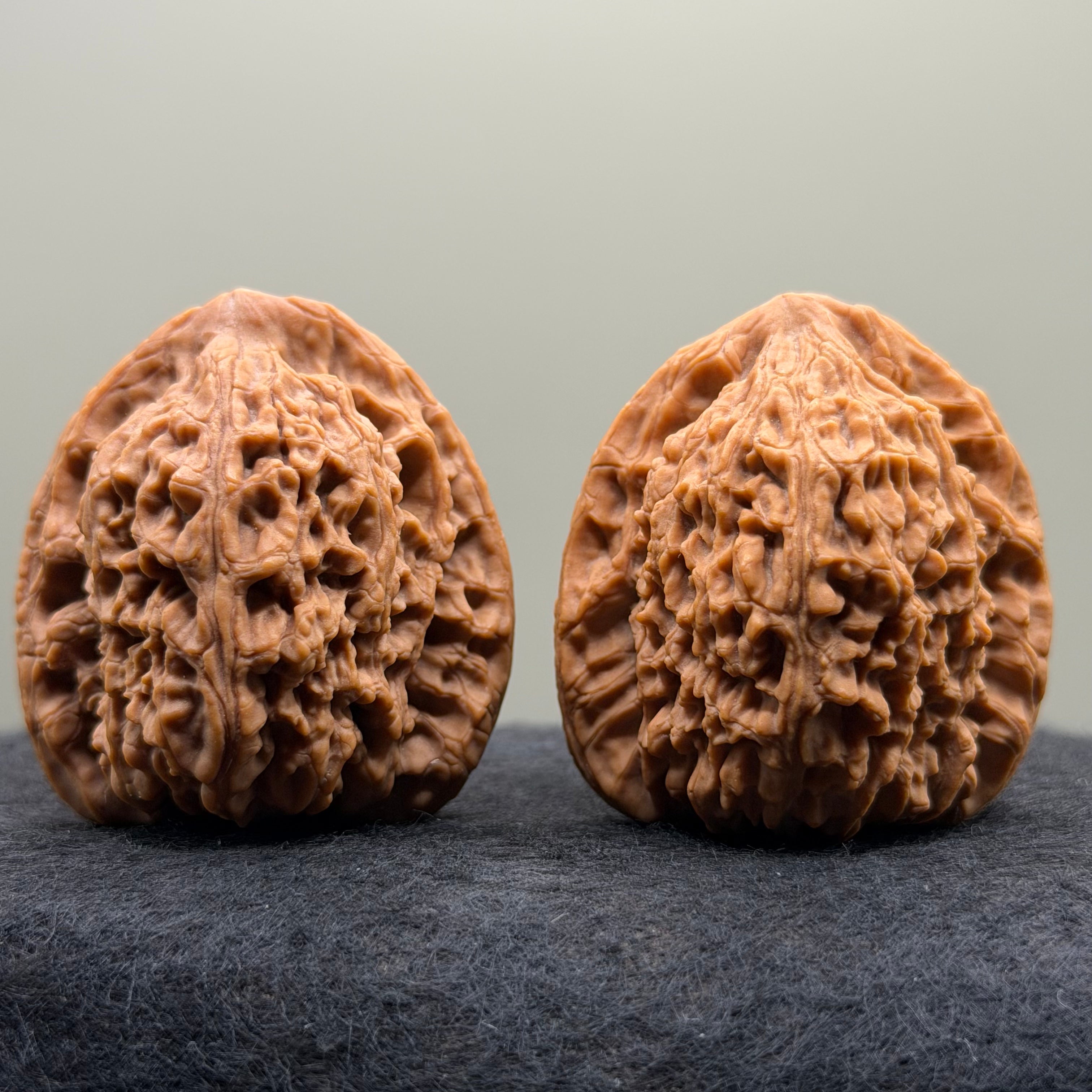 Nanjiang Stone Lion Head Wenwan Walnut