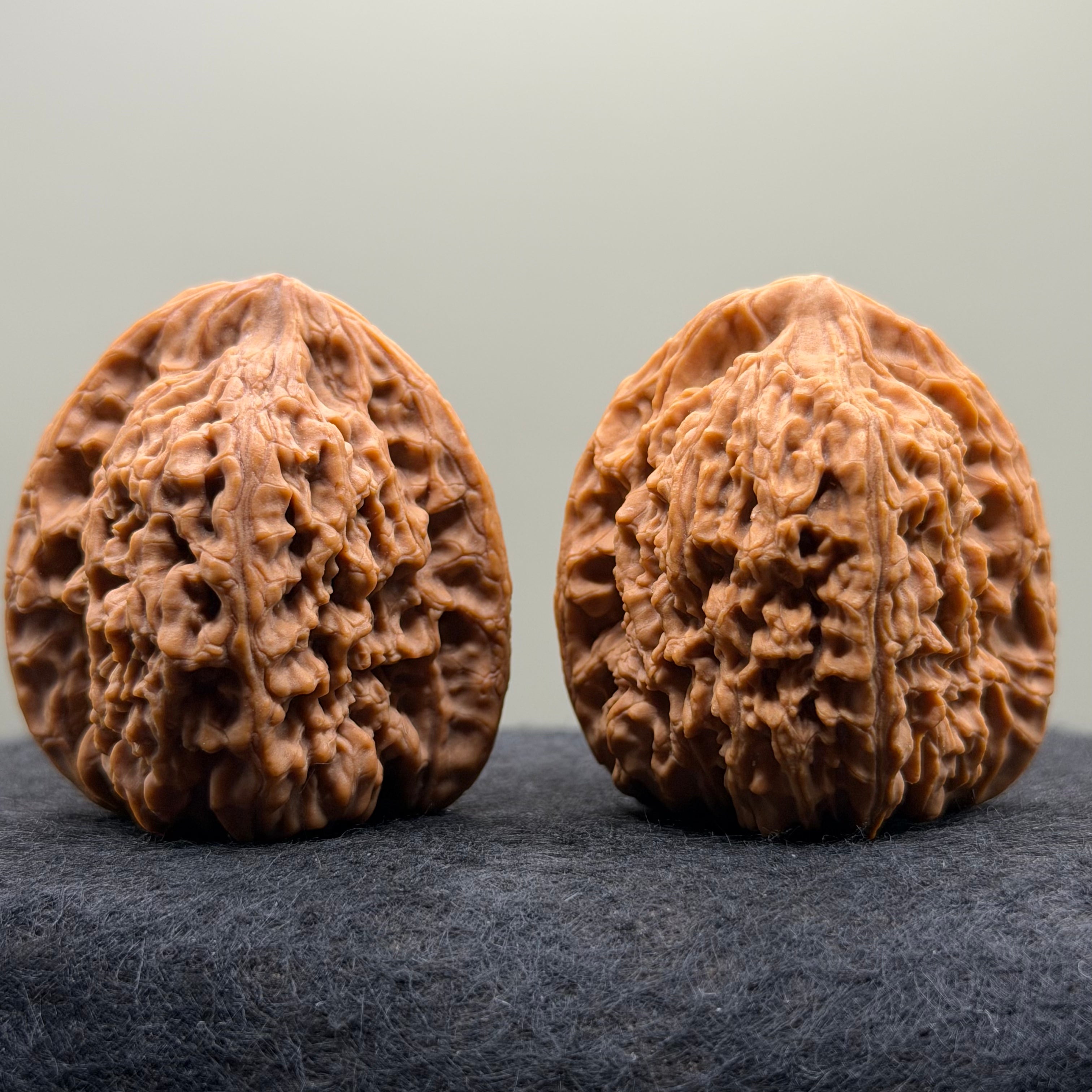 Nanjiang Stone Lion Head Wenwan Walnut