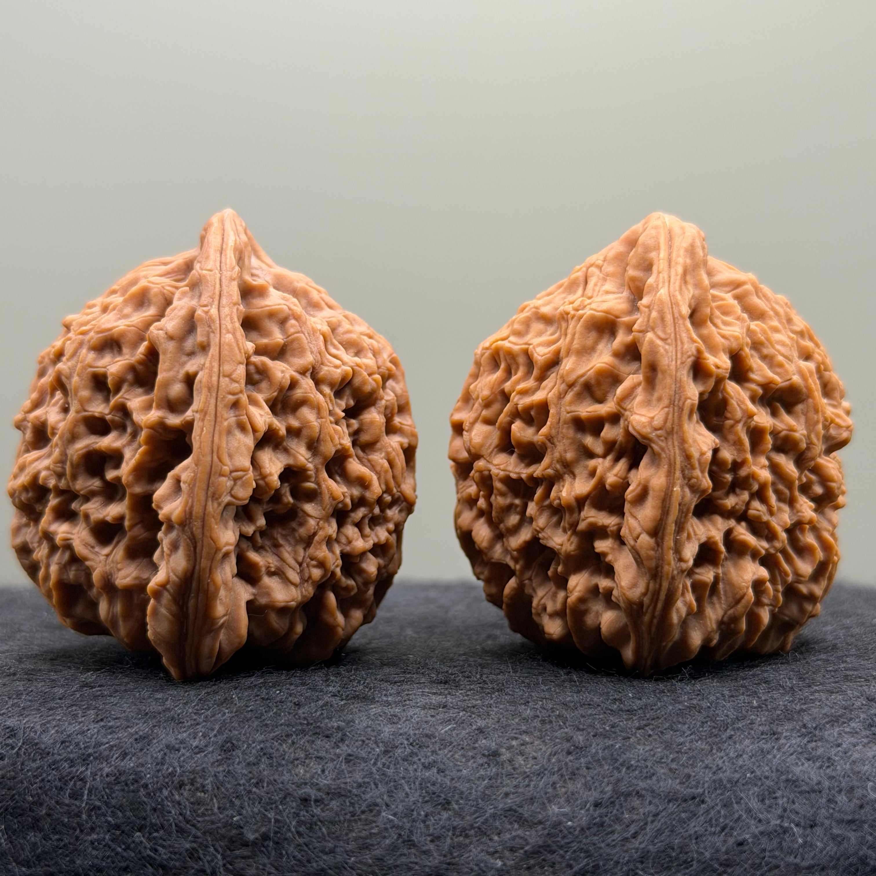 Nanjiang Stone Lion Head Wenwan Walnut