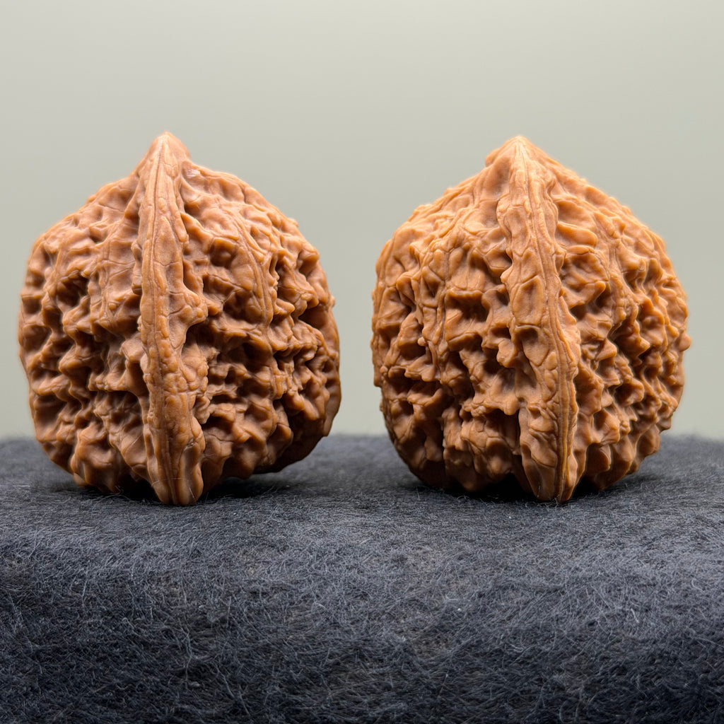 Nanjiang Stone Lion Head Wenwan Walnut