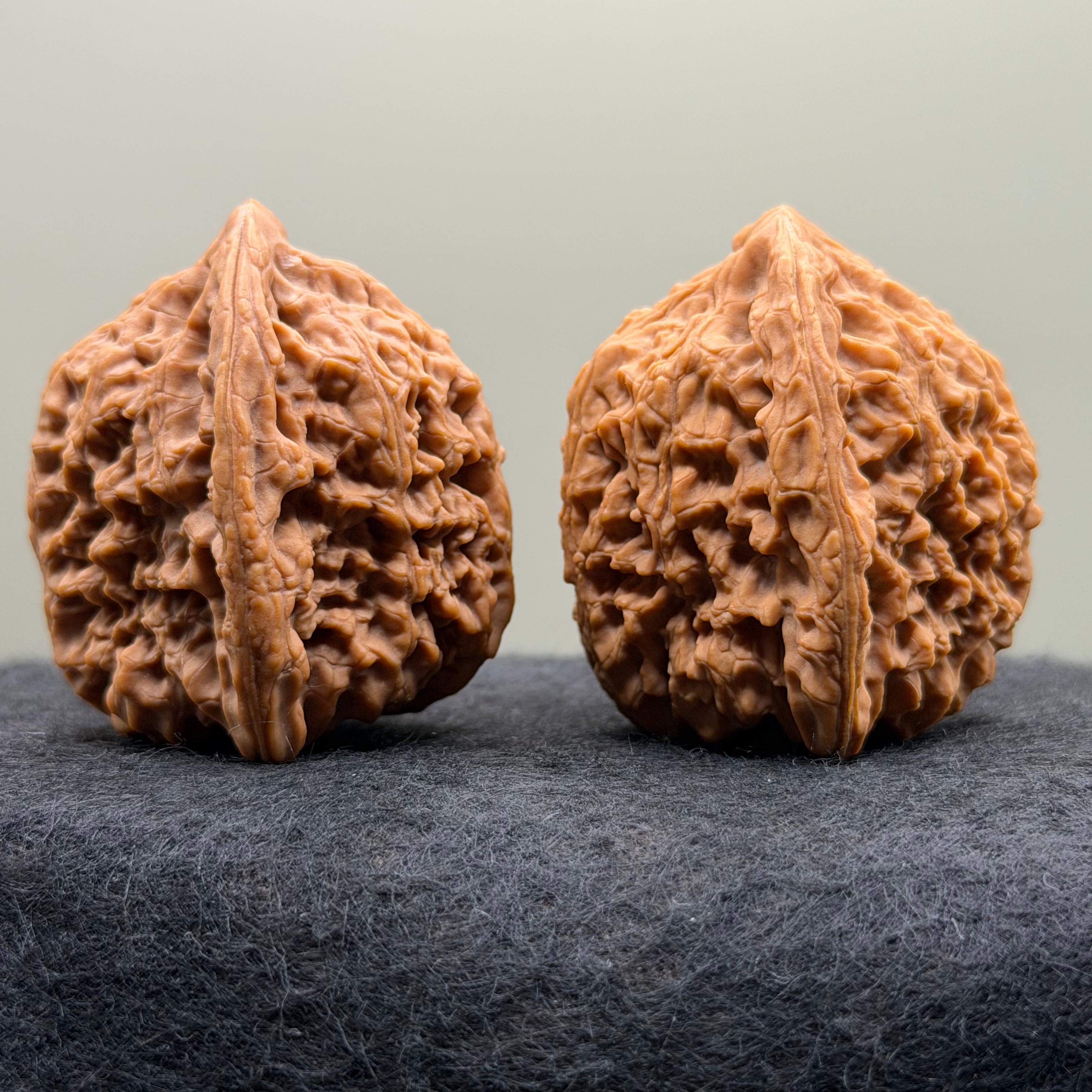 Nanjiang Stone Lion Head Wenwan Walnut