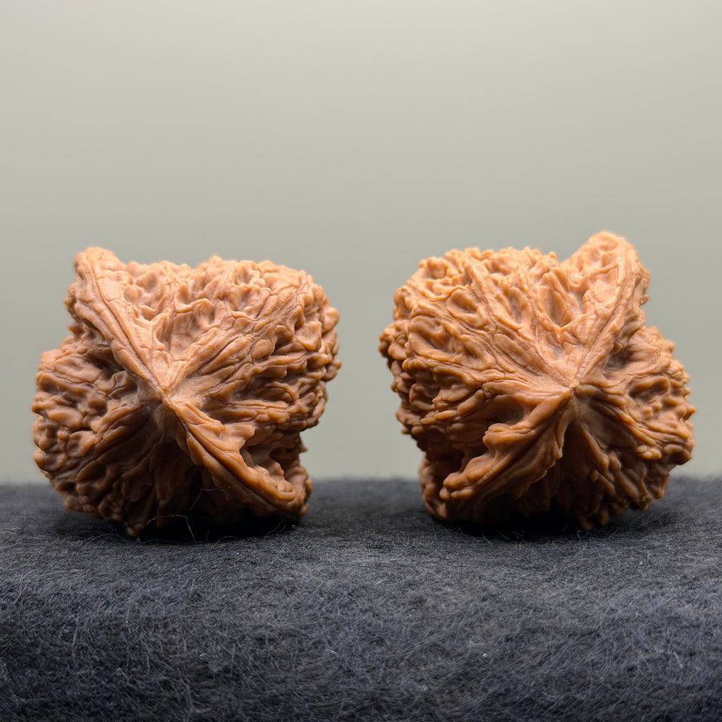 Nanjiang Stone Lion Head Wenwan Walnut