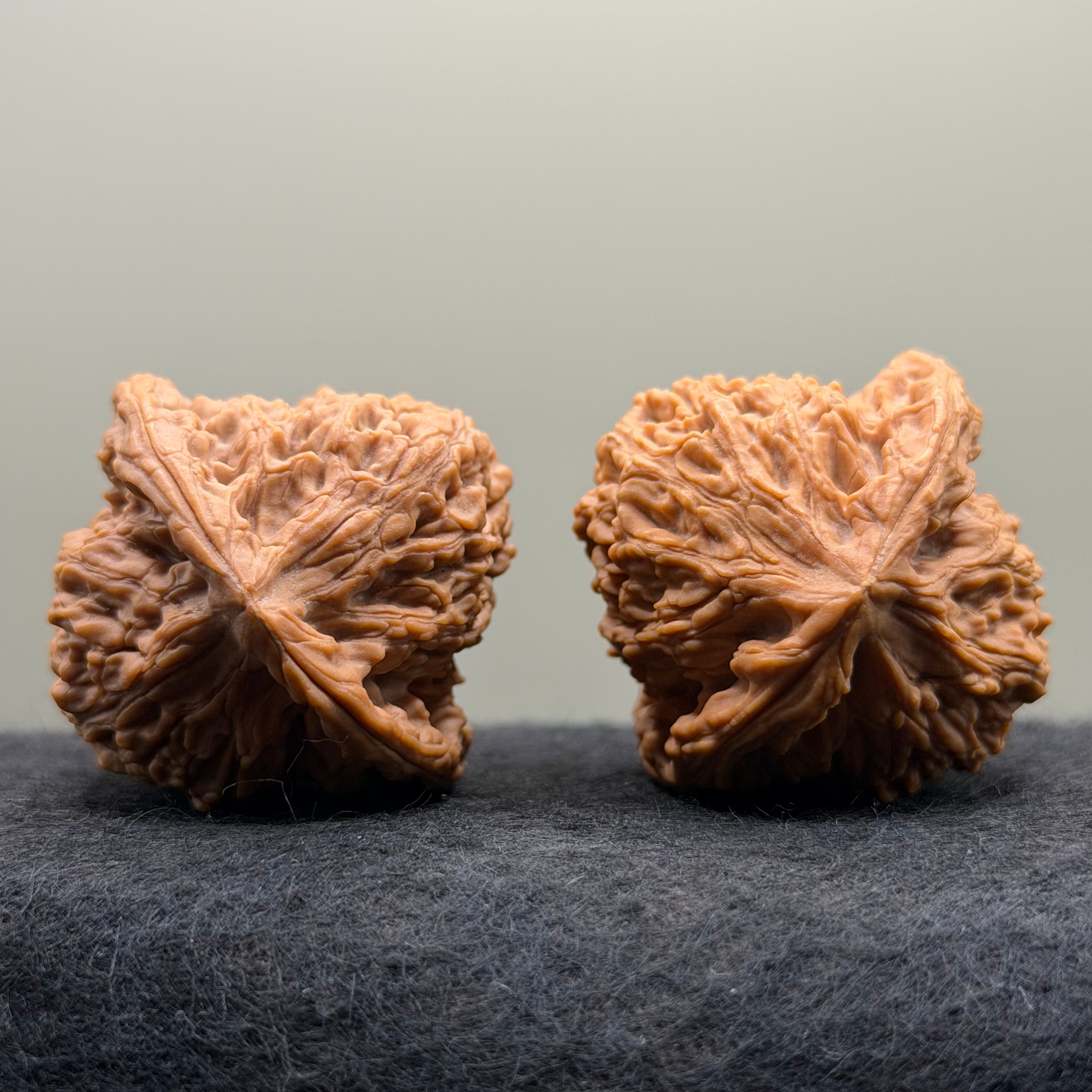 Nanjiang Stone Lion Head Wenwan Walnut