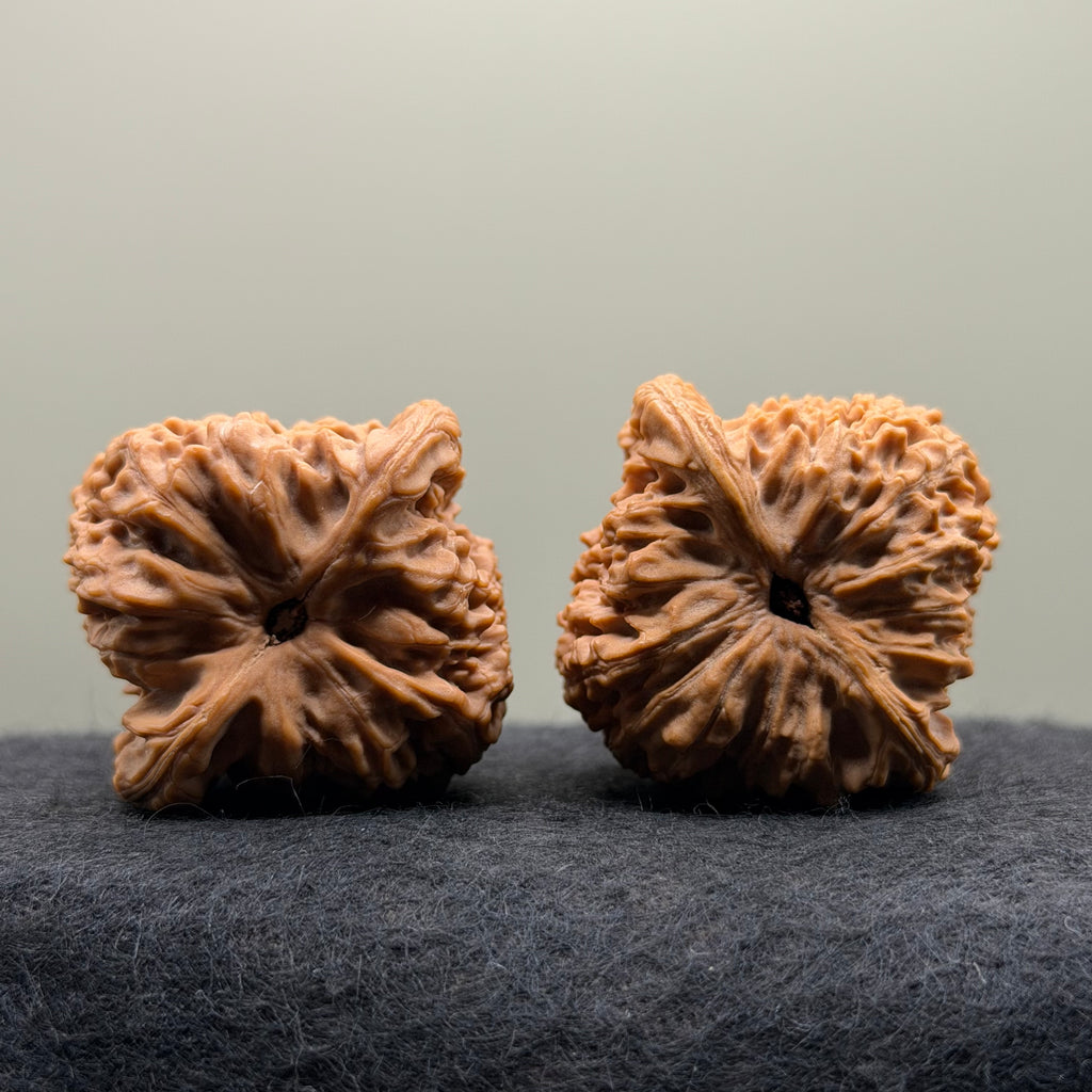 Nanjiang Stone Lion Head Wenwan Walnut