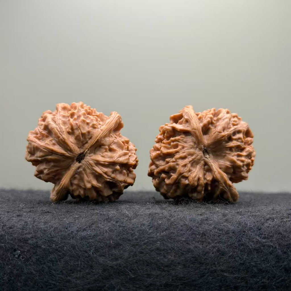 Taihang Ingot Wenwan Walnut · 39mm · Select Ritual