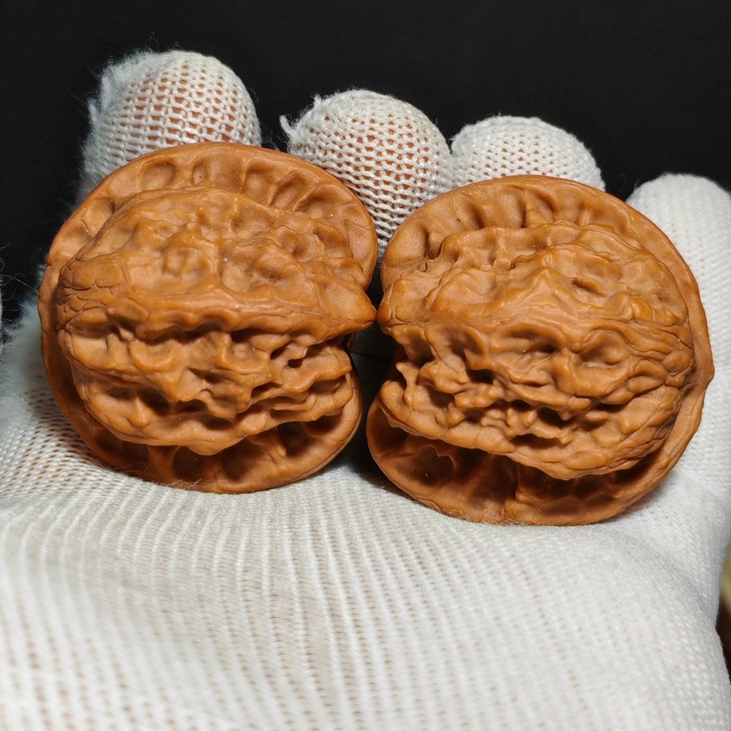 Wild Wolf Wenwan Walnut · 41mm · Sourcing Pick