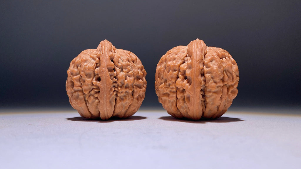 Lotus Wenwan Walnut · 38mm · Natural · Heirloom