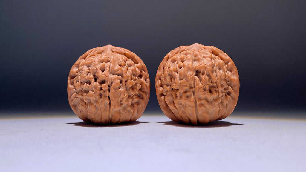 Lotus Wenwan Walnut · 38mm · Natural · Heirloom
