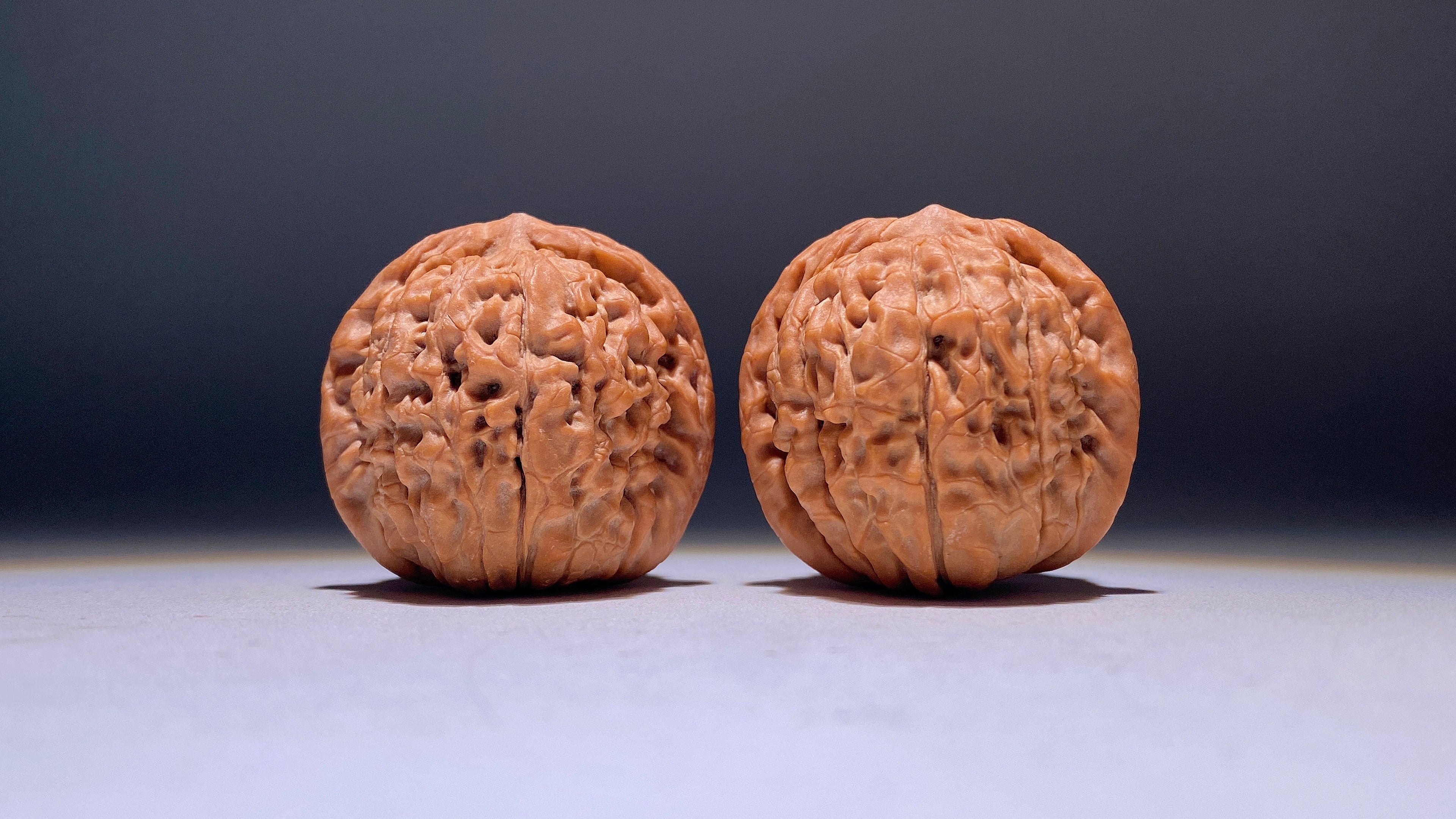 Lotus Wenwan Walnut · 38mm · Natural · Heirloom
