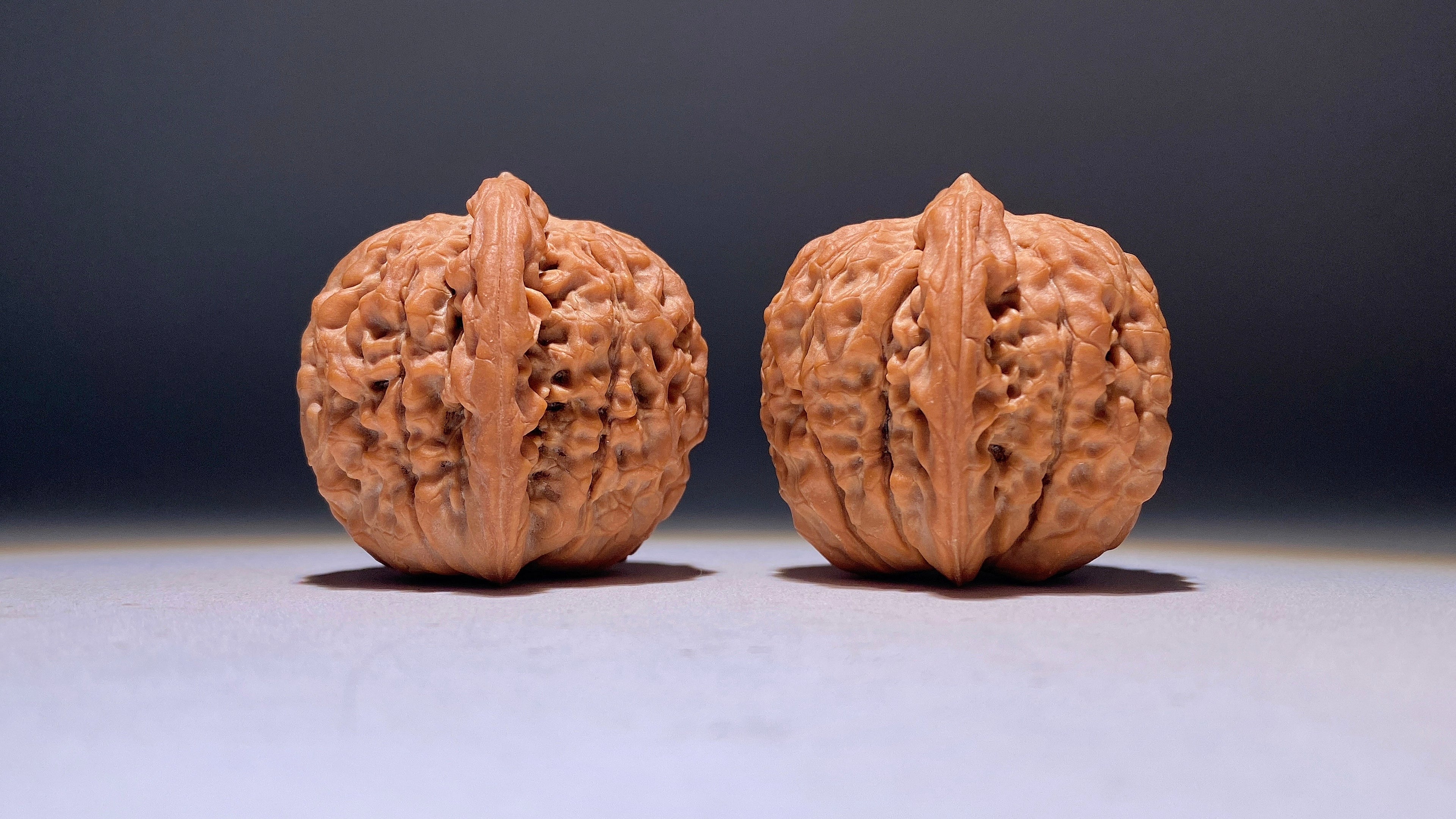 Lotus Wenwan Walnut · 38mm · Natural · Heirloom
