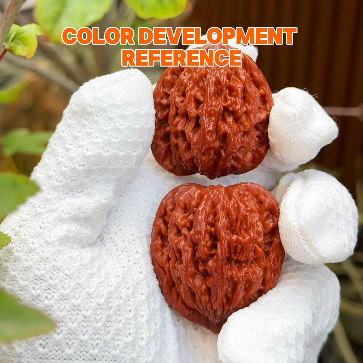 Wheat Ear Tiger Head Wenwan Walnut · 40mm · Select Ritual