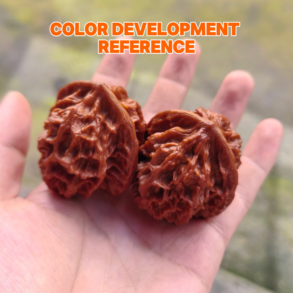 Emperor Wenwan Walnut  · 46mm · Select Ritual