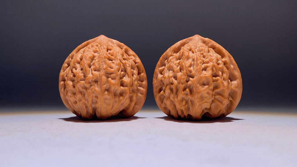 2026 · FreshGolden Bull Wenwan Walnut · 39mm · Natural · Heirloom
