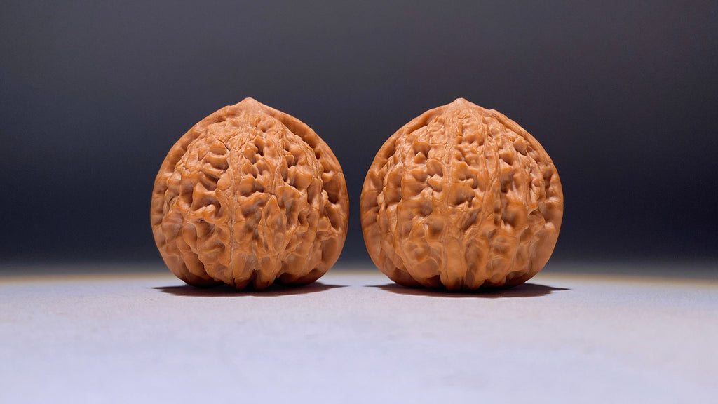 2026 · FreshGolden Bull Wenwan Walnut · 39mm · Natural · Heirloom