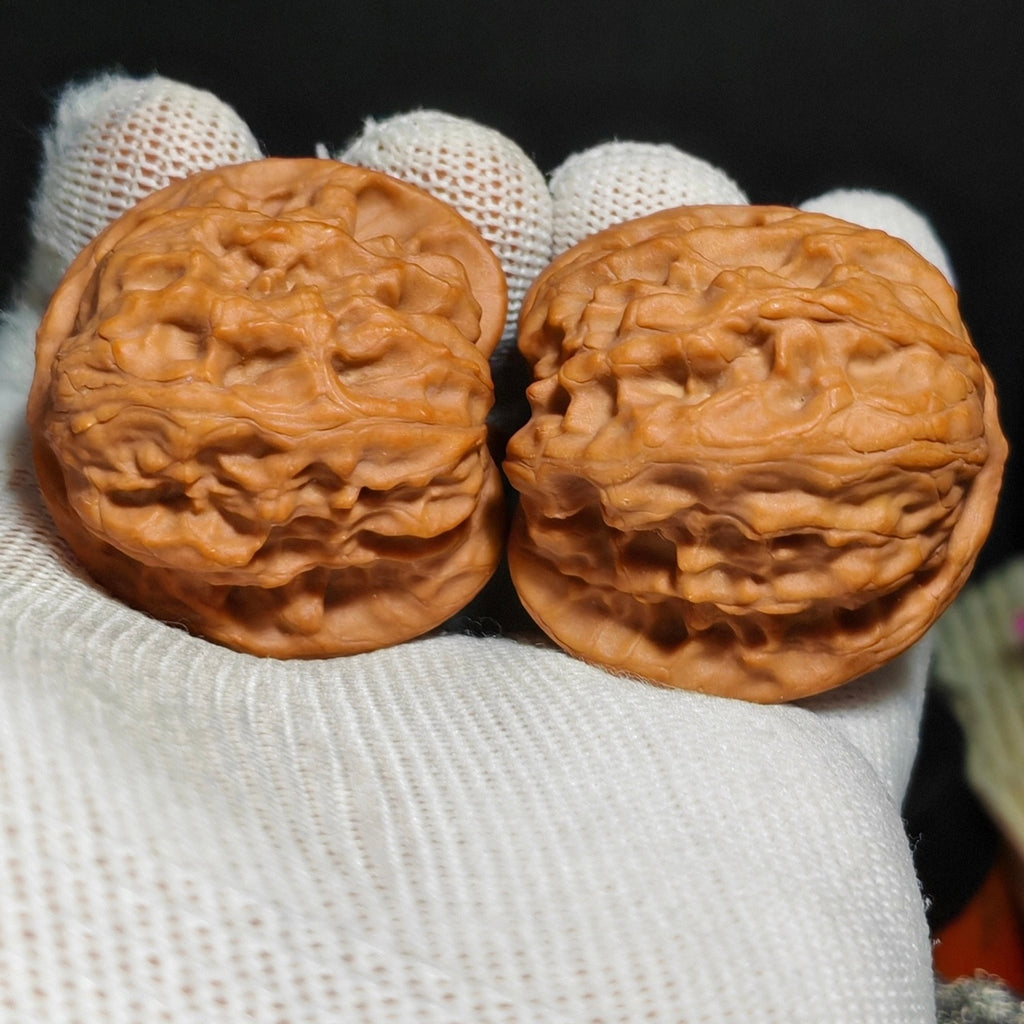 Wild Wolf Wenwan Walnut · 41mm · Sourcing Pick