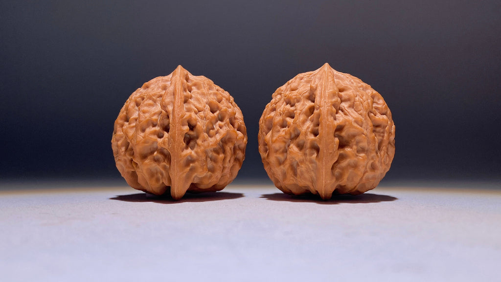 2026 · FreshGolden Bull Wenwan Walnut · 39mm · Natural · Heirloom