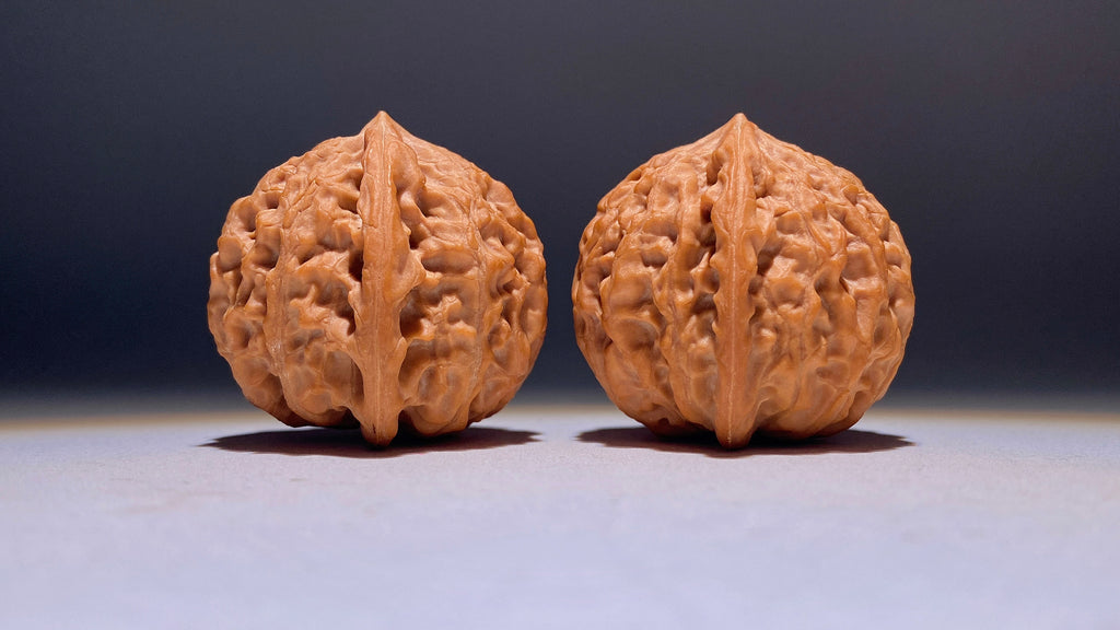 2026 · FreshGolden Bull Wenwan Walnut · 39mm · Natural · Heirloom