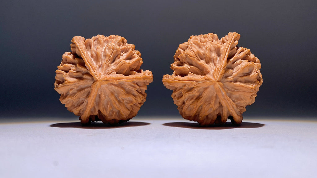 Dragon Scale Three-Ridge Wenwan Walnut · 53mm · Heirloom