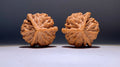 Dragon Scale Three-Ridge Wenwan Walnut · 53mm · Heirloom