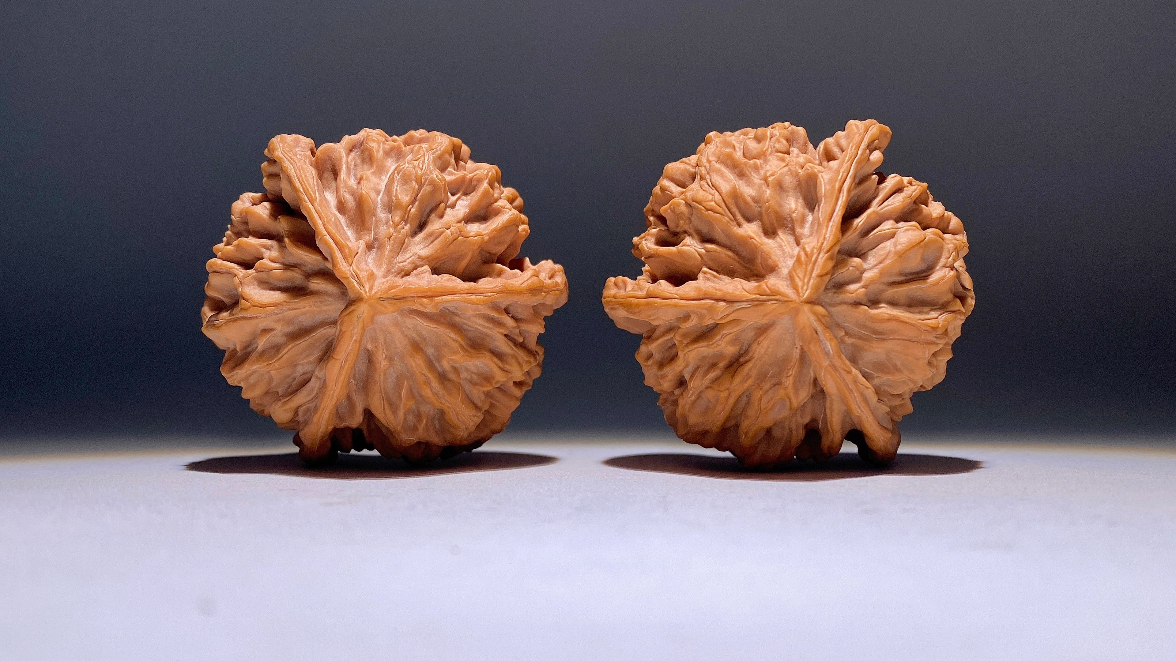 Dragon Scale Three-Ridge Wenwan Walnut · 53mm · Heirloom