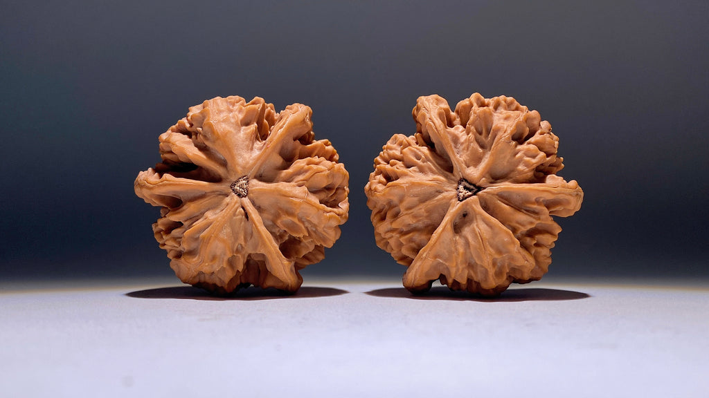 Dragon Scale Three-Ridge Wenwan Walnut · 53mm · Heirloom