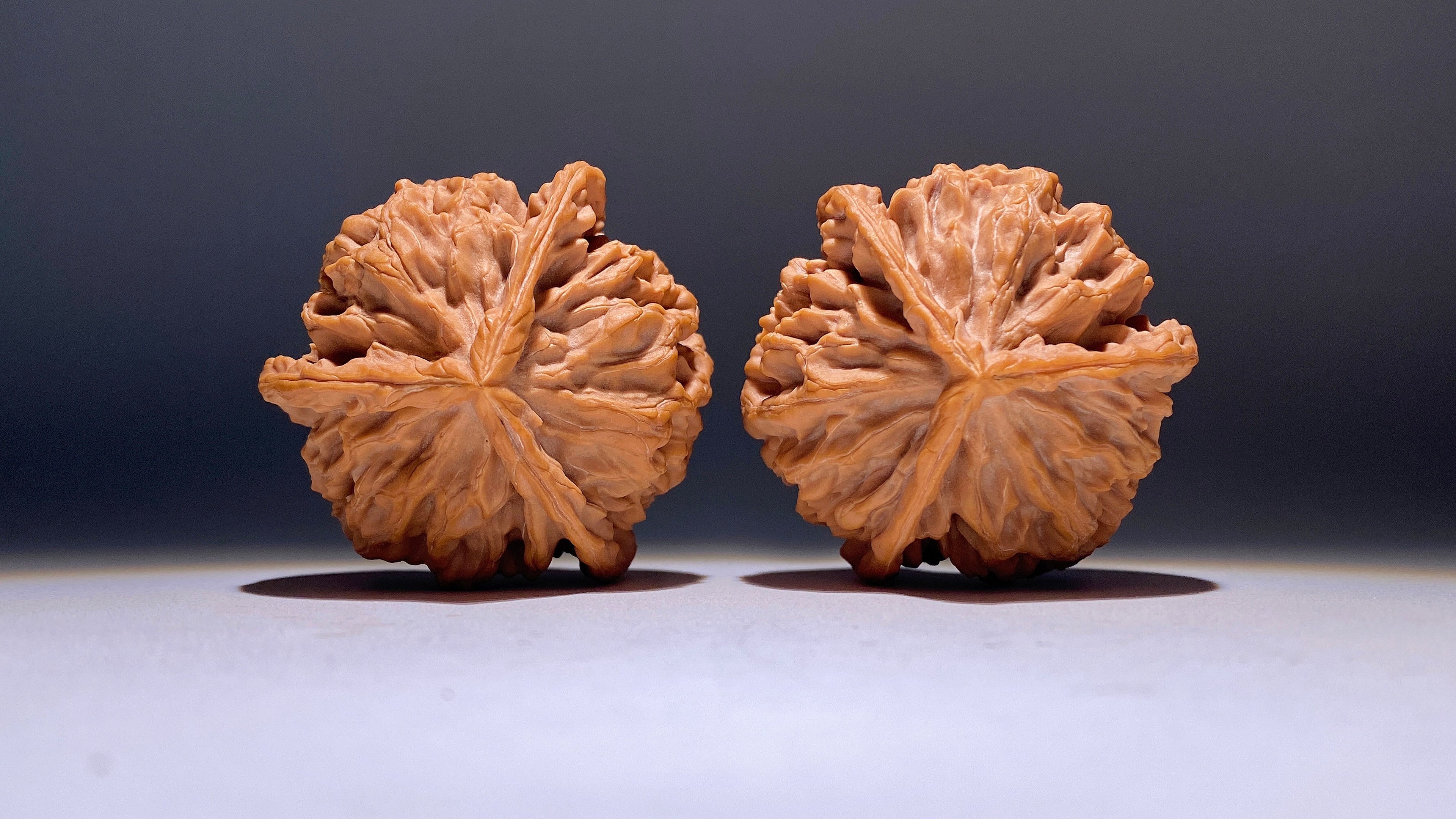 Dragon Scale Three-Ridge Wenwan Walnut · 53mm · Heirloom