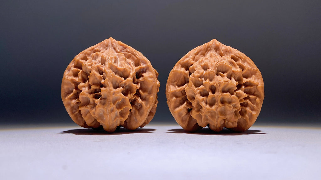 Dragon Scale Three-Ridge Wenwan Walnut · 53mm · Heirloom