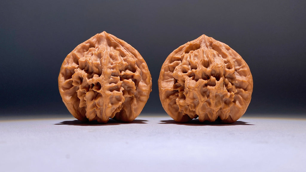 Dragon Scale Three-Ridge Wenwan Walnut · 53mm · Heirloom